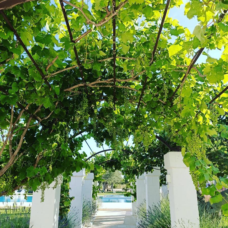 Masseria Almadava 폴리나노 아마레 외부 사진